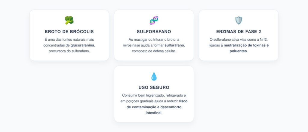 Broto de Brócolis: Detox Celular Natural contra Poluentes Ambientais