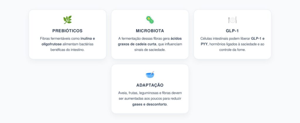 Prebióticos e GLP-1: Fibras que Ajudam o Intestino a Controlar a Fome