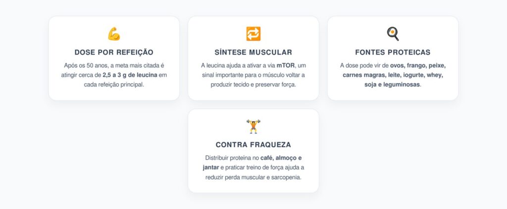 Leucina Após os 50: A Dose por Refeição para Manter a Força Muscular