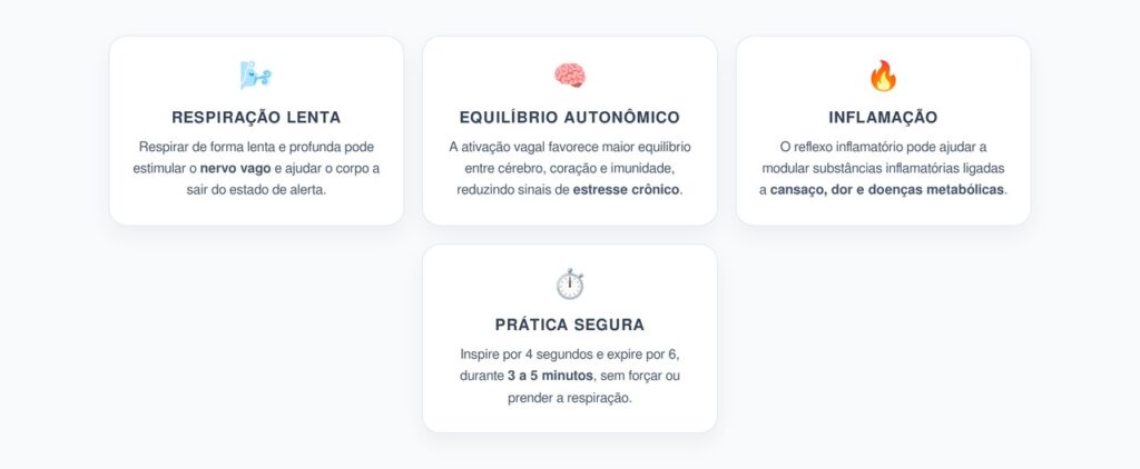 Respiração Pelo Nervo Vago: Técnica Para Modular Estresse e Inflamação