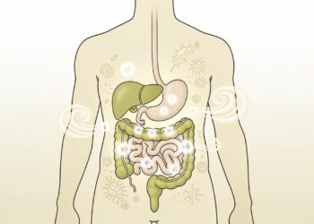 Gases intestinais frequentes não são apenas um incômodo passageiro: são um sinal fisiológico claro de que seu sistema digestivo pode estar bastante perturbado