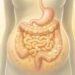 Gases intestinais não são apenas um incômodo, são um sinal fisiológico claro de que seu sistema digestivo pode estar perturbado