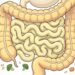 Constipação intestinal: causas comuns e hábitos simples para regular o trânsito naturalmente