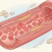 Como o consumo de aveia ajuda a controlar os níveis de colesterol LDL no sangue?