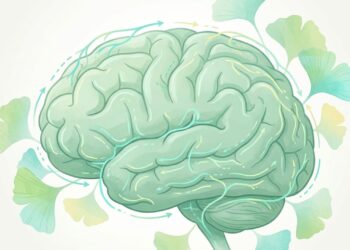 Erva com compostos vasoativos estudados que pode ajudar a melhorar a memória e a circulação cerebral em adultos mais velhos