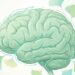 Erva com compostos vasoativos estudados que pode ajudar a melhorar a memória e a circulação cerebral em adultos mais velhos