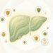 Erva medicinal com compostos antioxidantes que pode ajudar a proteger o fígado contra danos por toxinas e medicamentos