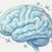 "Combustível do cérebro": 3 alimentos ideais para aumentar o foco mental e proteger os neurônios naturalmente