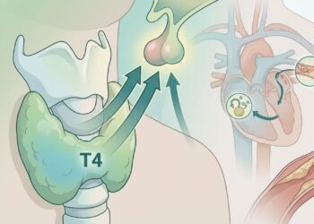 Como o hipotireoidismo subclínico compromete o metabolismo ao longo do tempo e como ele difere do hipotireoidismo clínico
