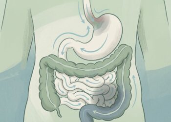 Quais são os sintomas de problemas gastrointestinais