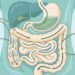 O melhor tipo de alimentação para pessoas com intestino irritável que querem reduzir crises sem remédio