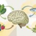 Alimentação e saúde cerebral: os benefícios de uma dieta anti-inflamatória aumentam com a idade