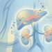 Sentir gosto metálico na boca com frequência é um dos primeiros sinais de que a saúde hepática ou renal exige atenção imediata