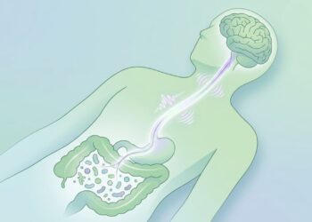 Qual cepa de probiótico é essencial para manter os níveis de cortisol saudáveis segundo especialistas em psicobióticos