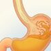 Refluxo gastroesofágico: causas comuns e hábitos simples para aliviar a sensação de queimação