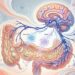 Como o consumo diário de kefir afeta o eixo intestino-cérebro e a regulação do humor