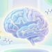 Por que a suplementação de Creatina está sendo recomendada por neurologistas para preservar a saúde cognitiva e a memória em mulheres na menopausa