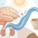 O melhor horário para tomar café para ter mais energia e menos ansiedade