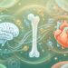 Dieta anti-inflamatória: nutrientes essenciais para preservar a saúde óssea e cerebral após os 60 anos de idade