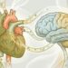 O tipo de óleo vegetal que melhora a saúde cardiovascular e a função cognitiva de forma eficaz