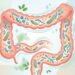 Como recuperar a flora intestinal para tratar a má digestão?