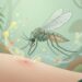 O que significa sentir dores de cabeça intensas após picadas de mosquitos e como identificar precocemente a febre do vírus Oropouche