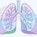 O melhor alimento para limpar os pulmões e reduzir inflamação das vias aéreas naturalmente