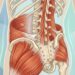 Como fortalecer a musculatura do core para aliviar a dor crônica nas costas?