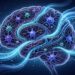Novo estudo revela como a limpeza do sistema glinfático durante o sono profundo remove toxinas associadas à névoa mental
