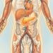 Como saber se tenho diabetes mesmo sem casos na família