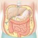 O controle do peso abdominal é um dos fatores-chave na prevenção do diabetes tipo 2