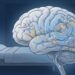 Como dormir mal vai prejudicando o cérebro aos poucos e por que isso é diferente de simplesmente acordar cansado