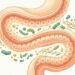 Como reduzir a inflamação intestinal de forma natural e consistente: cinco alimentos com ação anti-inflamatória comprovada