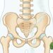 De quanto cálcio o corpo precisa diariamente, considerando a idade e o risco de osteoporose?